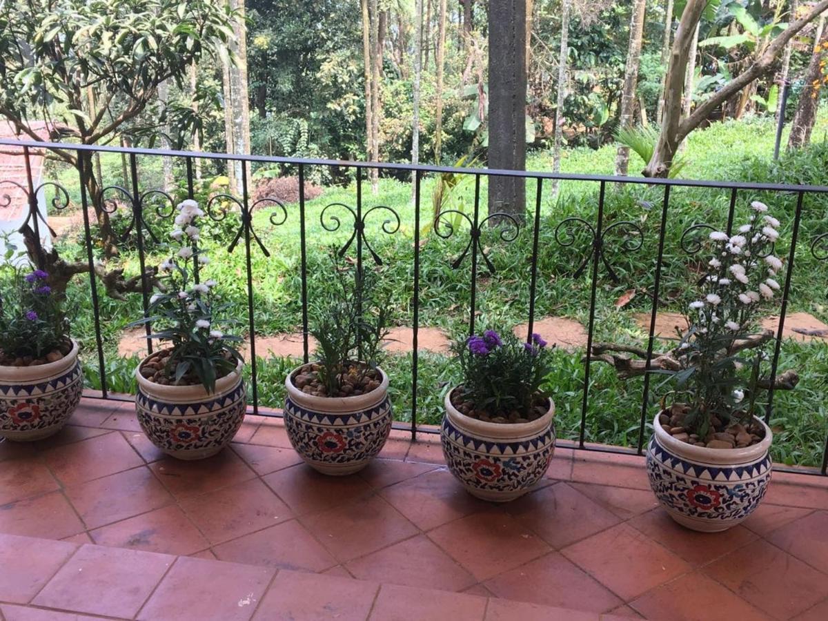 Tea Terrace Vythiri Hotel Wayanad Buitenkant foto
