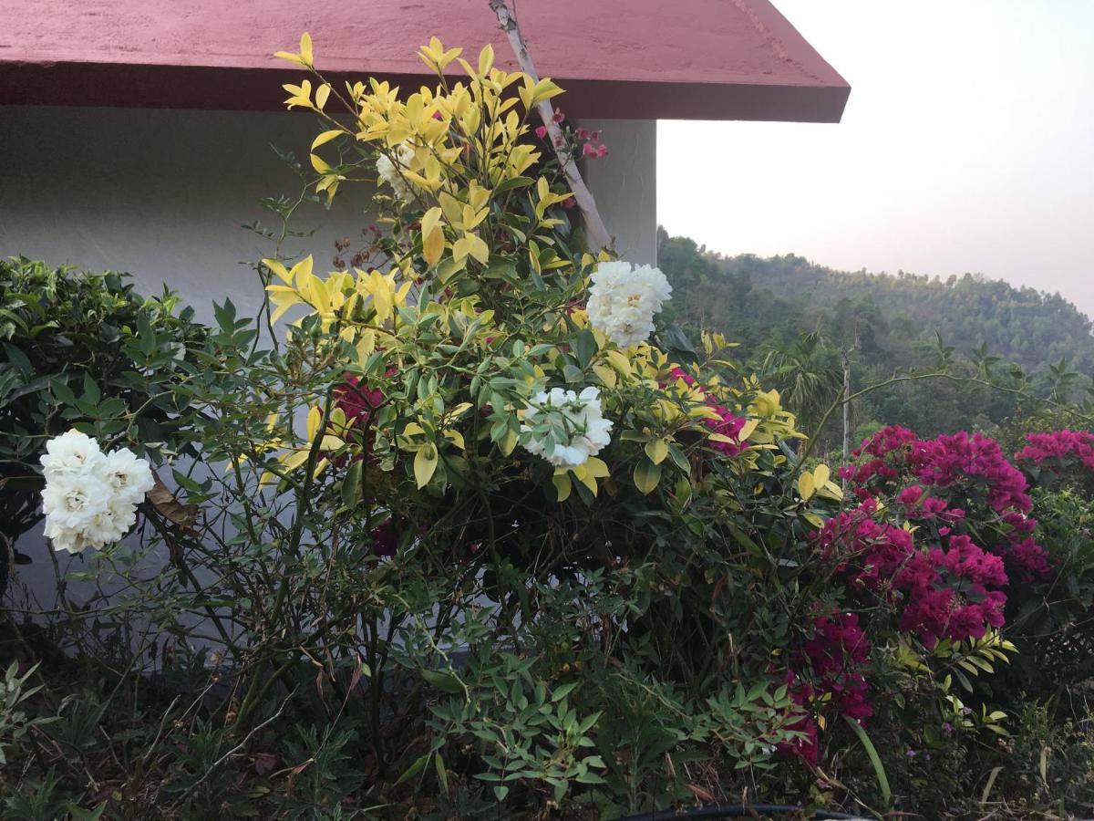 Tea Terrace Vythiri Hotel Wayanad Buitenkant foto