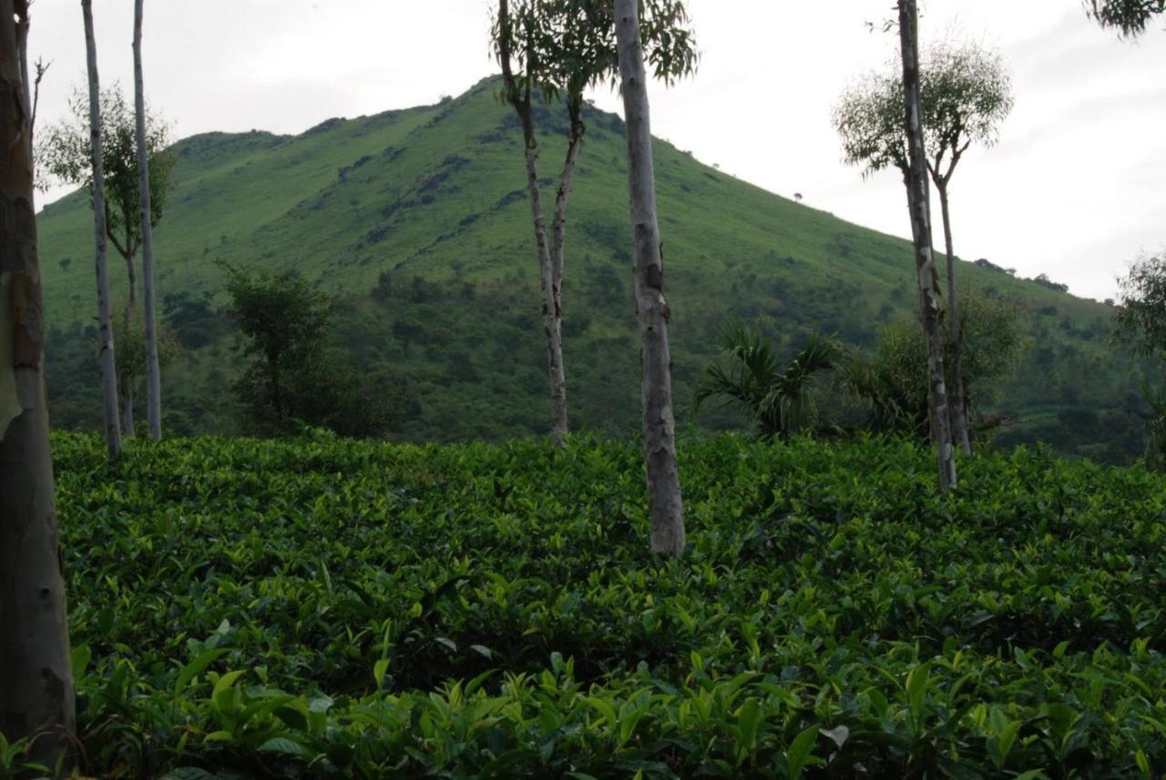 Tea Terrace Vythiri Hotel Wayanad Buitenkant foto