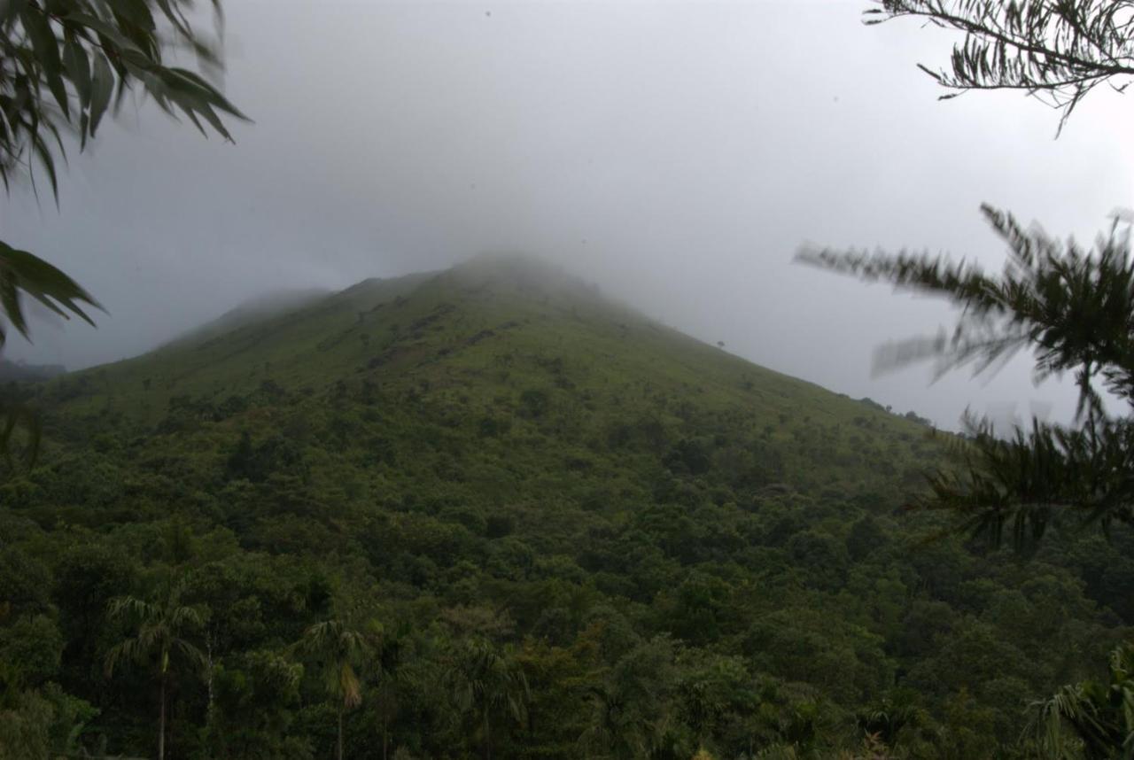 Tea Terrace Vythiri Hotel Wayanad Buitenkant foto