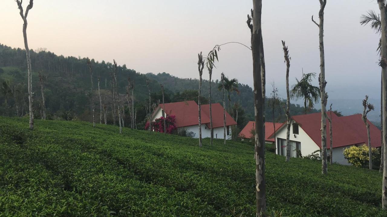 Tea Terrace Vythiri Hotel Wayanad Buitenkant foto