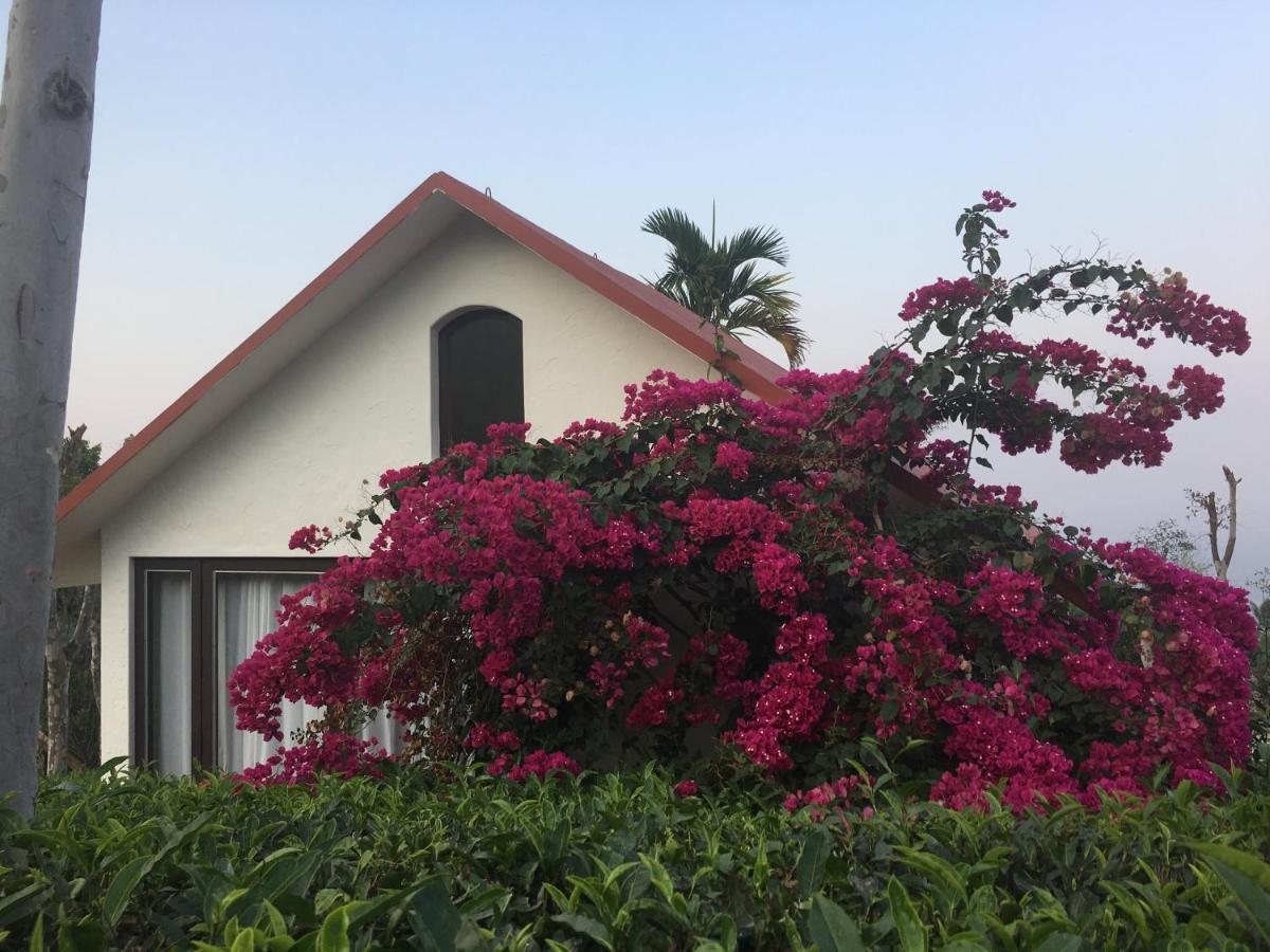 Tea Terrace Vythiri Hotel Wayanad Buitenkant foto