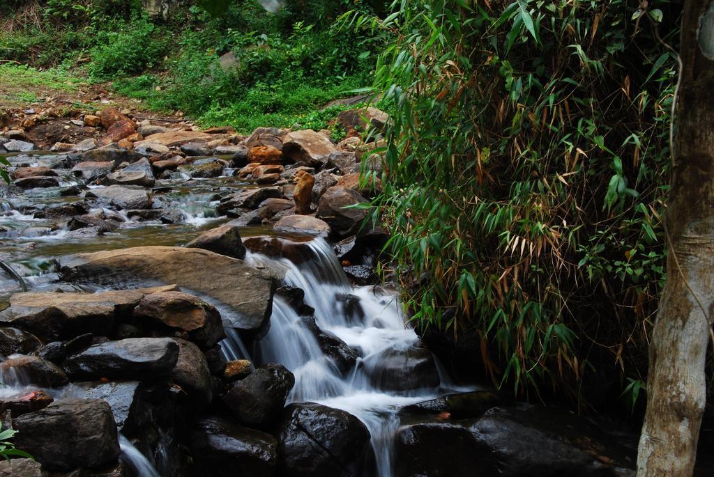 Tea Terrace Vythiri Hotel Wayanad Buitenkant foto