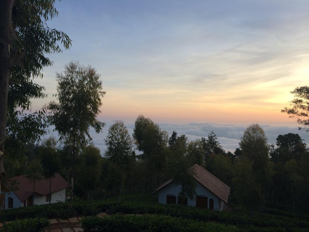 Tea Terrace Vythiri Hotel Wayanad Buitenkant foto